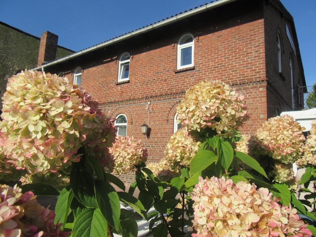 Holsteiner Hof Hotel Heist Buitenkant foto